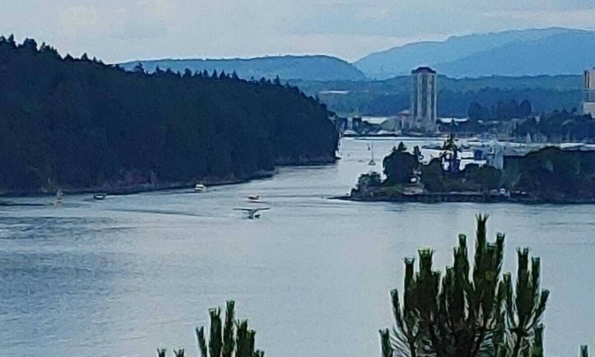 Departure Bay Apartment | Coastal Gem with Ocean Views | Bright, Stylish & Peaceful Retreat for 4