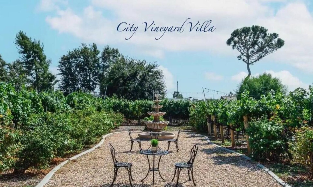 Los Serranos House | Lux Vineyard Retreat in 20,000 sqft lot near ONT