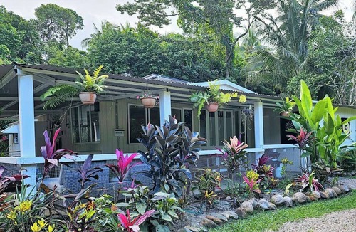Cape Tribulation House | Alena Starhouse - Eco-Luxury Retreat with Pool, Prime Cape Tribulation Position