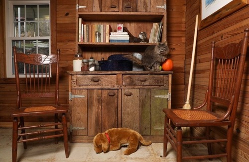 Otto Cabin | Aunt Aries Historical cabin- retreat to the wilderness
