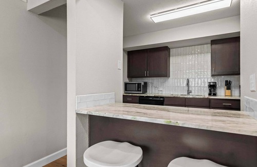Springfield Apartment | Newly Renovated Unit in Central Spfld! #203