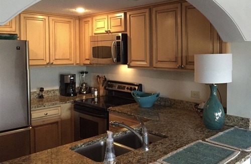 Palmetto Dunes Condo | Shelter Cove Marina BEST VIEW! Spotless 1 BR. Small dog. No stairs.