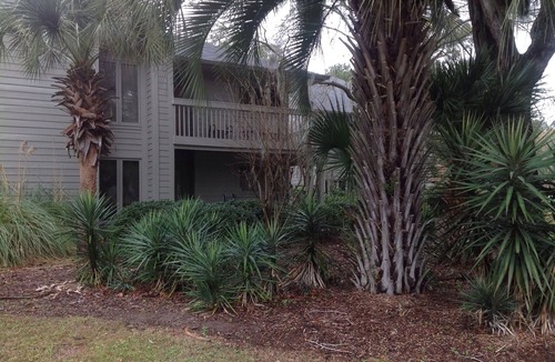Palmetto Dunes Villa | Your Home Away from Home -5 STAR reviews. Minutes to Palmetto Dunes amenities
