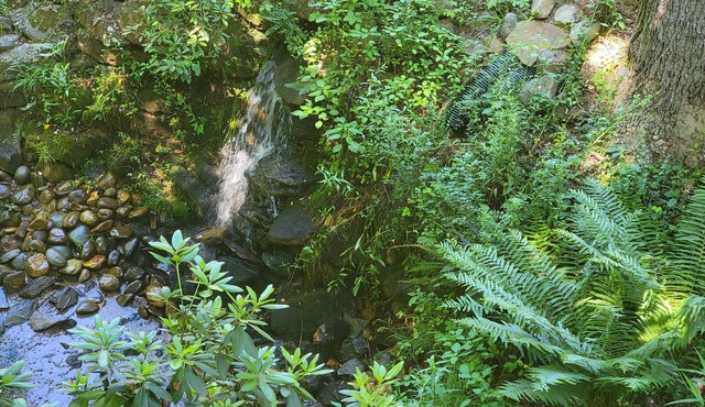 1660 Guest House; Waterfall, Creek, Large Deck, Fire Ring