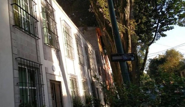 Acogedor Apartamento en el Corazón de la CDMX – SúperAnfitrión Coyoacán