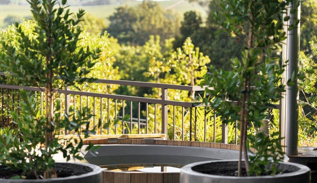 Avemore Olive Apartment - your new favourite accommodation in the Winelands!
