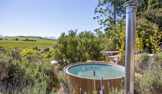 Avemore Orchard Apartment - amazing views where R&R is the name of the day.