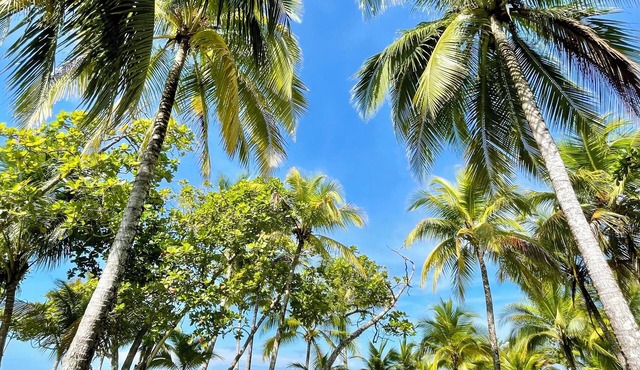 BEACHFRONTGEM- owner’s villa-expansive endless beach less traveled. Discounted