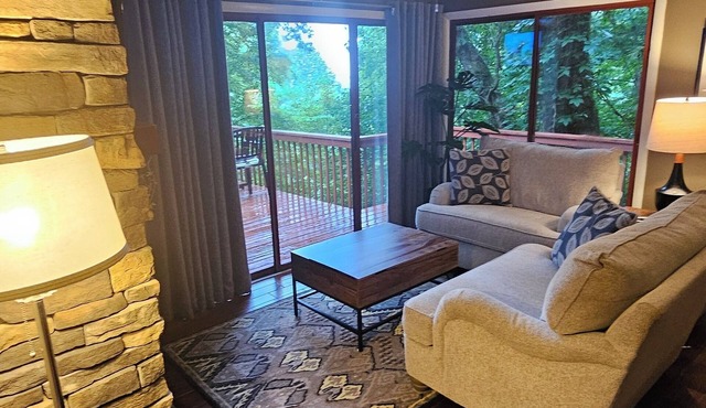 BELOVED BUNGALOW , hot tub, view, WiFi, near Biltmore & downtown