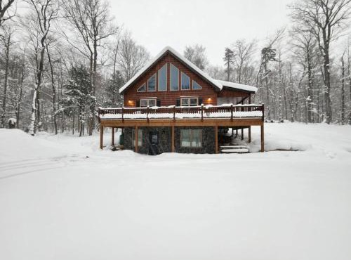 Blissful Bear in Old Forge