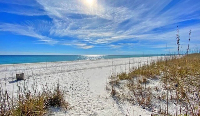Bright and Sunny Gulf Front Home with Spacious Deck for Dolphin Watching