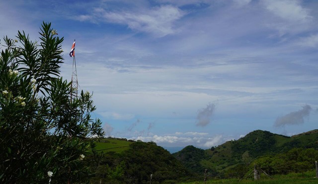 Campo Azul #3 - Monteverde