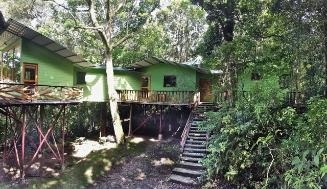 Canopy Wonders House: A Place Among Tree Tops!