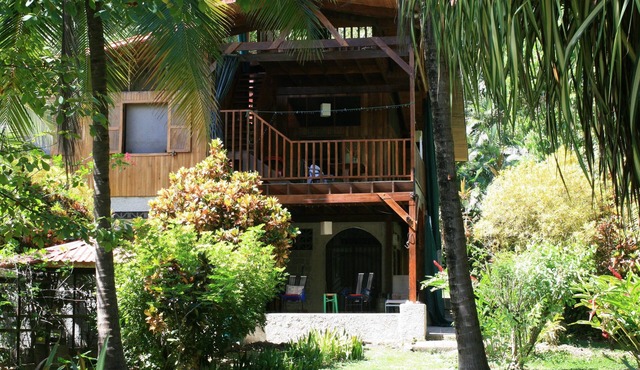 Casa Montezuma: Spectacular Almond-Wood House with Canopy View Deck