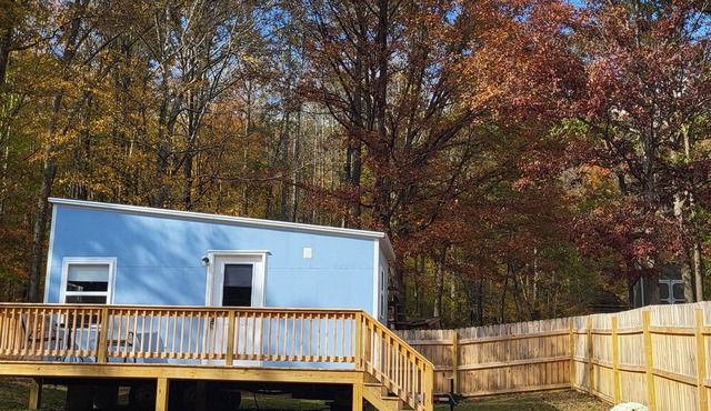Charming tiny house in Rogersville. Come relax in this quiet country setting