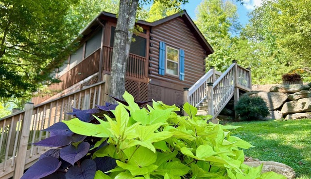 Cozy Blue Skies Cabin - walk to Chimney Rock & Lake Lure