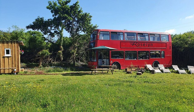 Dartmoor Double Decker bus on an Alpaca Farm sleeps 8