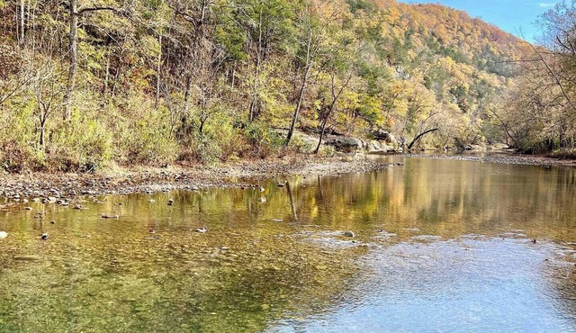 Escape to a peaceful Ozarks cabin near the Buffalo National River, perfect for couples and small families. Enjoy mountain views, a cozy private setting, and easy access to hiking trails, waterfalls, and Eureka Springs.
