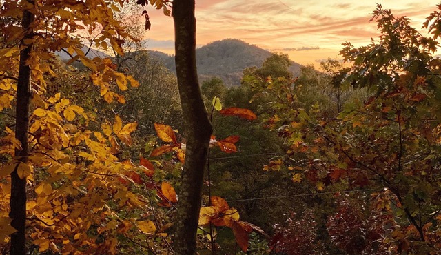 Great Location, Romantic & Private, yet Central to Avl, Black Mtn, & outdoor fun