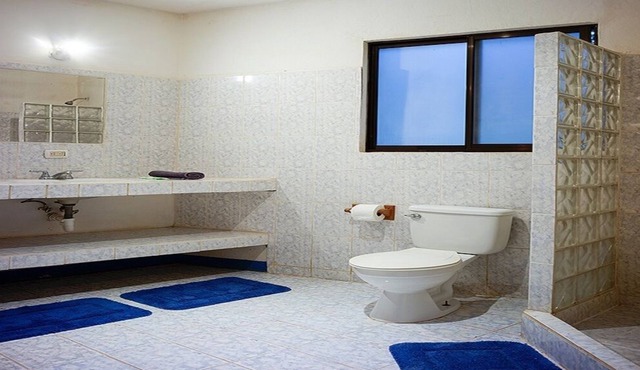 Large loft in a villa of 3 independent apts, immersed in 2 hects of natural park.