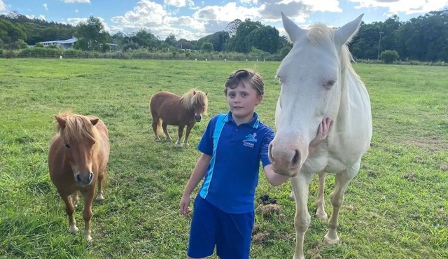 Lime Lodge Farmstay-Families-Horse Riders-Nature