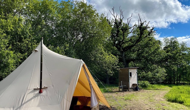 Little bridge Camp. Secluded camping in 13 acres of magical meadow and woodland.