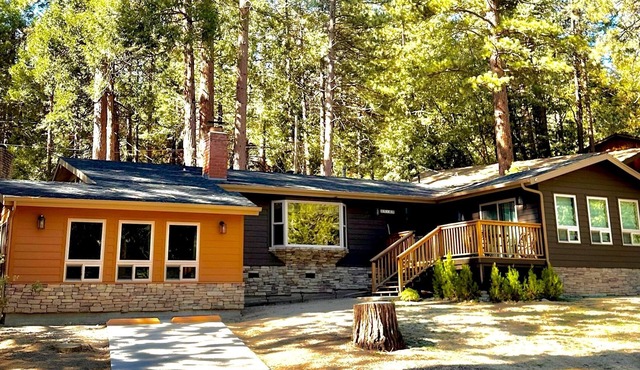 Luxury Mountain Cabin - Dog Friendly! 30 day minimum stay.