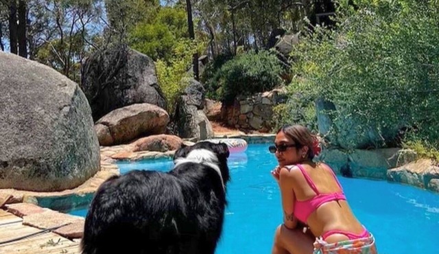 Panoramic Views + Large Dog Enclosure + Jacuzzi