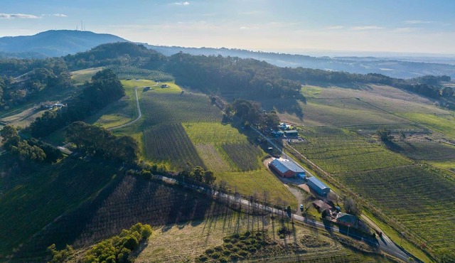 Panoramic Views on Pinnacle - 3 Bedroom Farm Stay