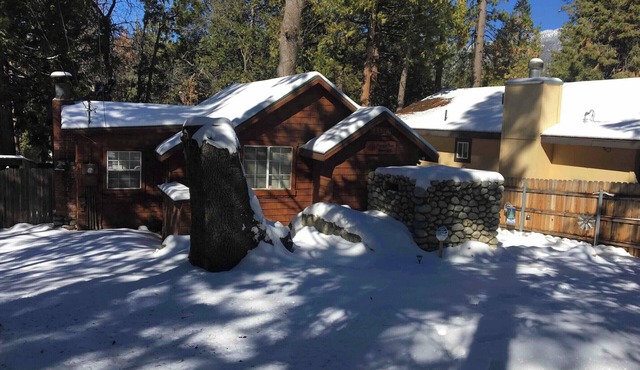 Pet friendly cabin-Fully fenced yard! Pets stay free!
