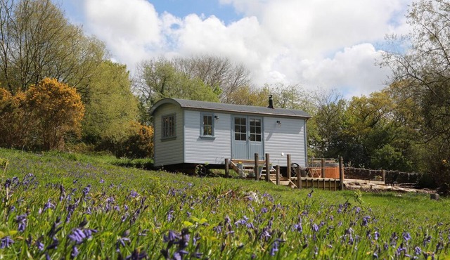 Relax in The Old Rose Shepherd Hut and Hot Tub !