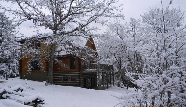 Rustic Log Cabin Nestled Privately in the Woods