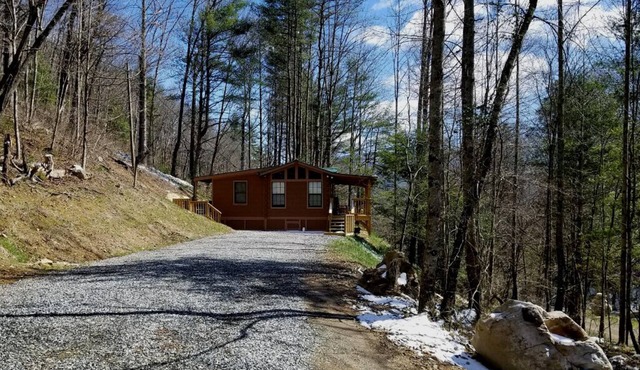 Secluded Romantic Cabin with Hot Tub and Pet Friendly
