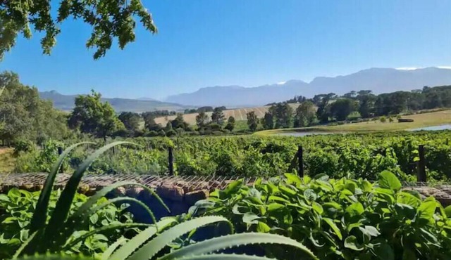 Self catering accomadation in the winelands. Mon Rêve Estate - Cottage 3
