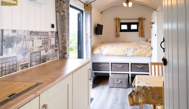 Shepherd's hut with hot tub