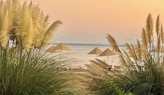 Smart Olive Suite by the Sea