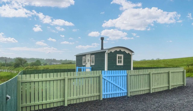 Spring Meadow Shepherds Hut