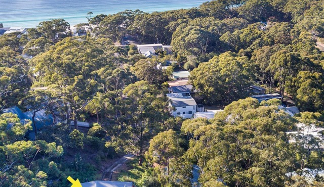 Summerdaze, Hyams Beach