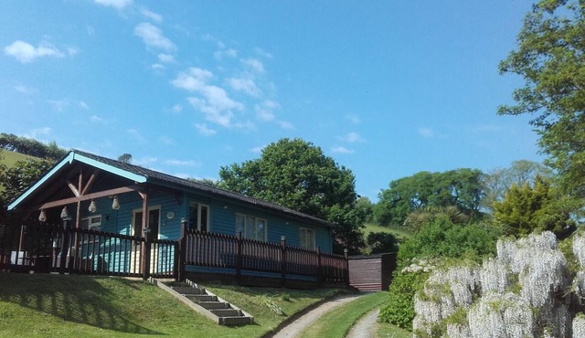 Willows - charming cabin in private peaceful valley near Bantham in South Devon
