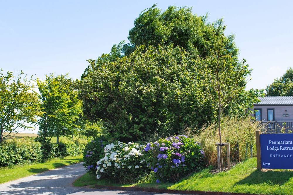 Photo of Outdoor in Fowey