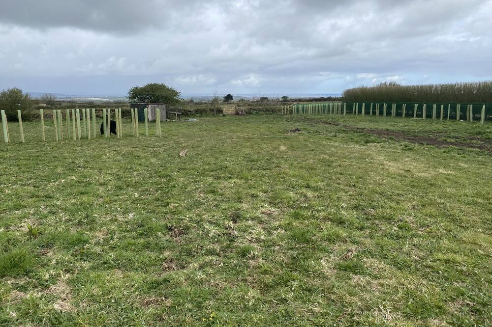 Photo of Outdoor in Camborne