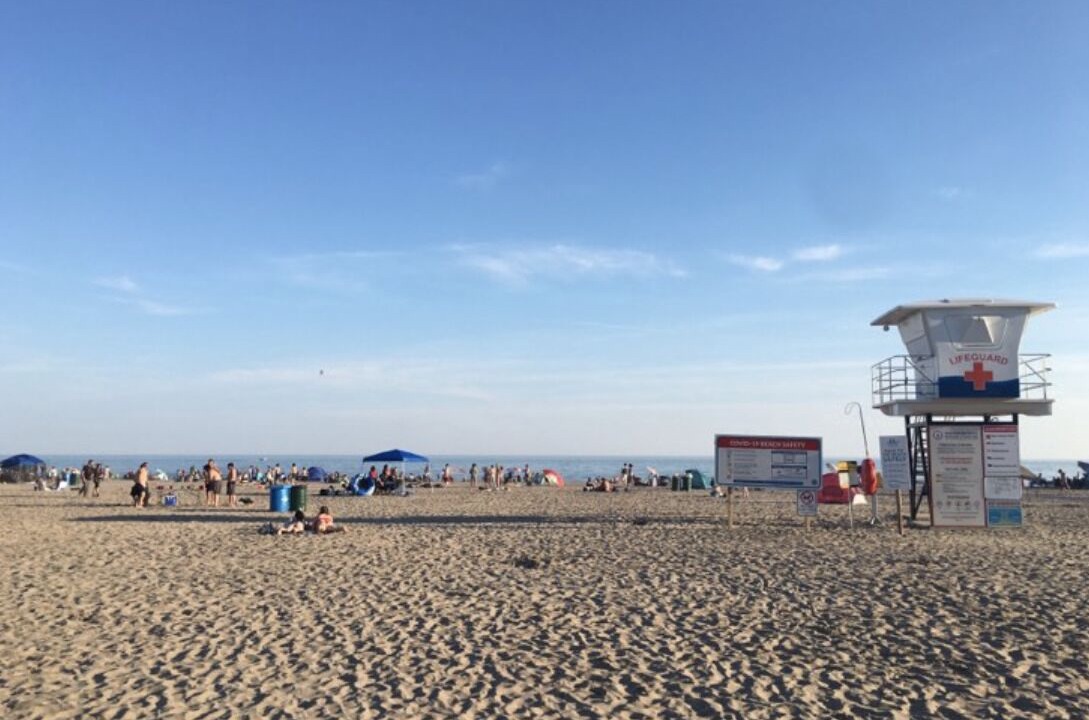 Photo of Others in Port Stanley