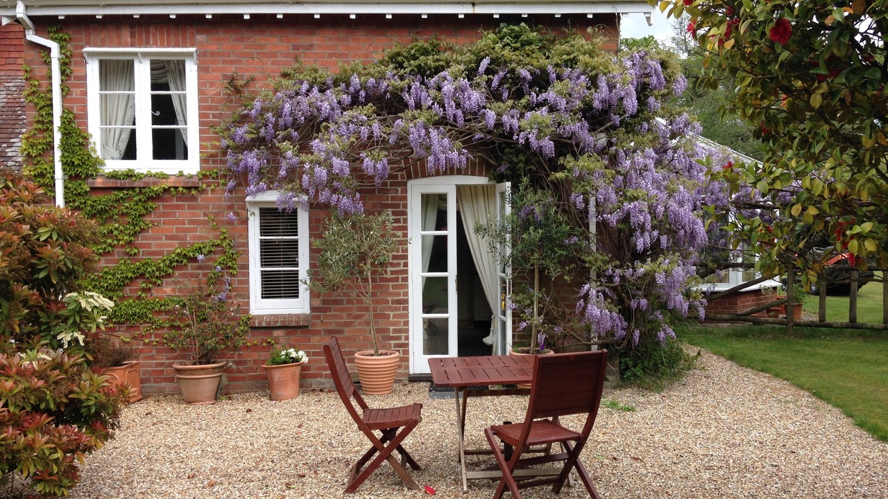 Photo of Outdoor in Burley
