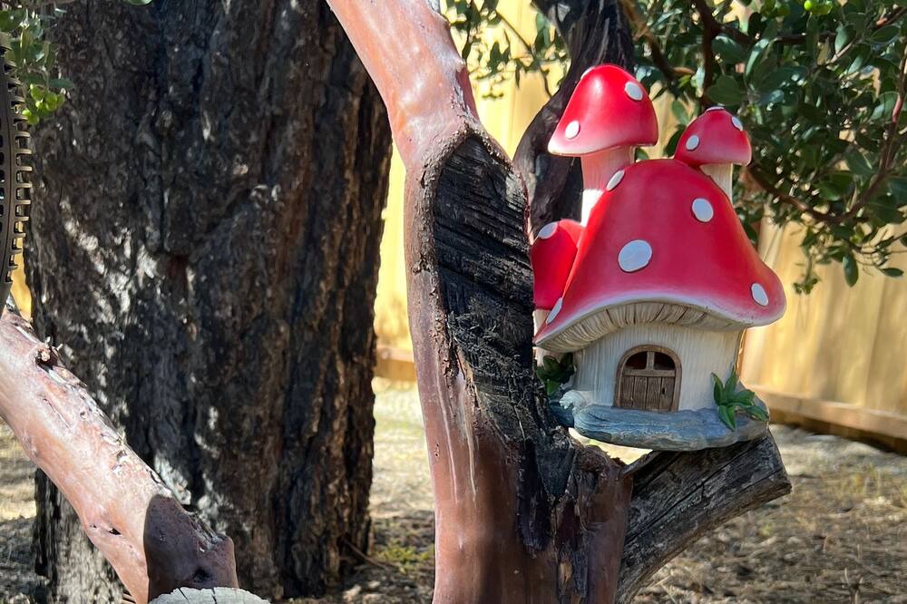 Photo of Others in Idyllwild