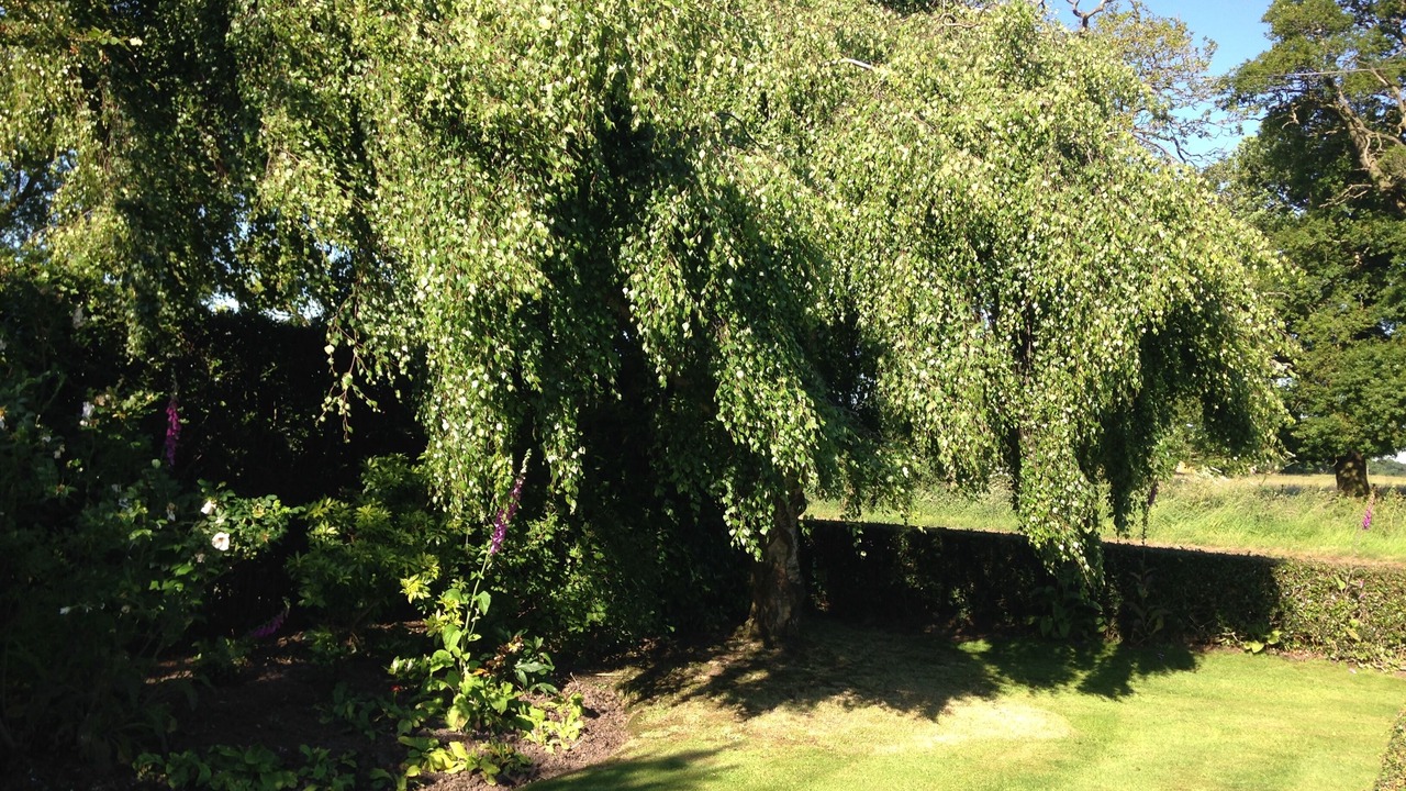Photo of Outdoor in Rugeley