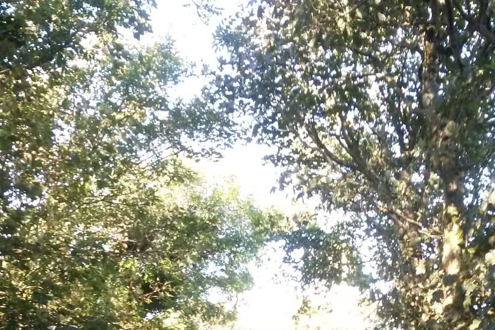 Photo of Outdoor in St. Buryan