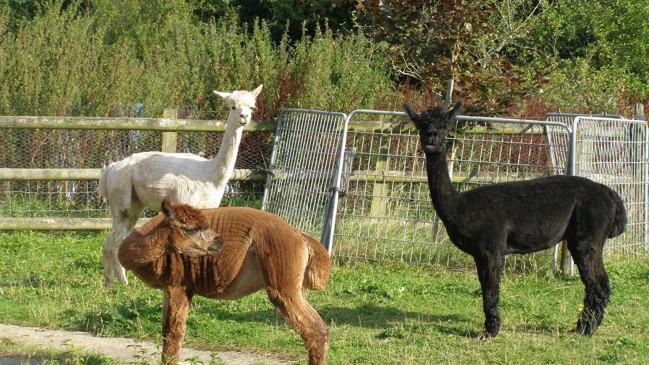 Photo of Outdoor in Lower Wick