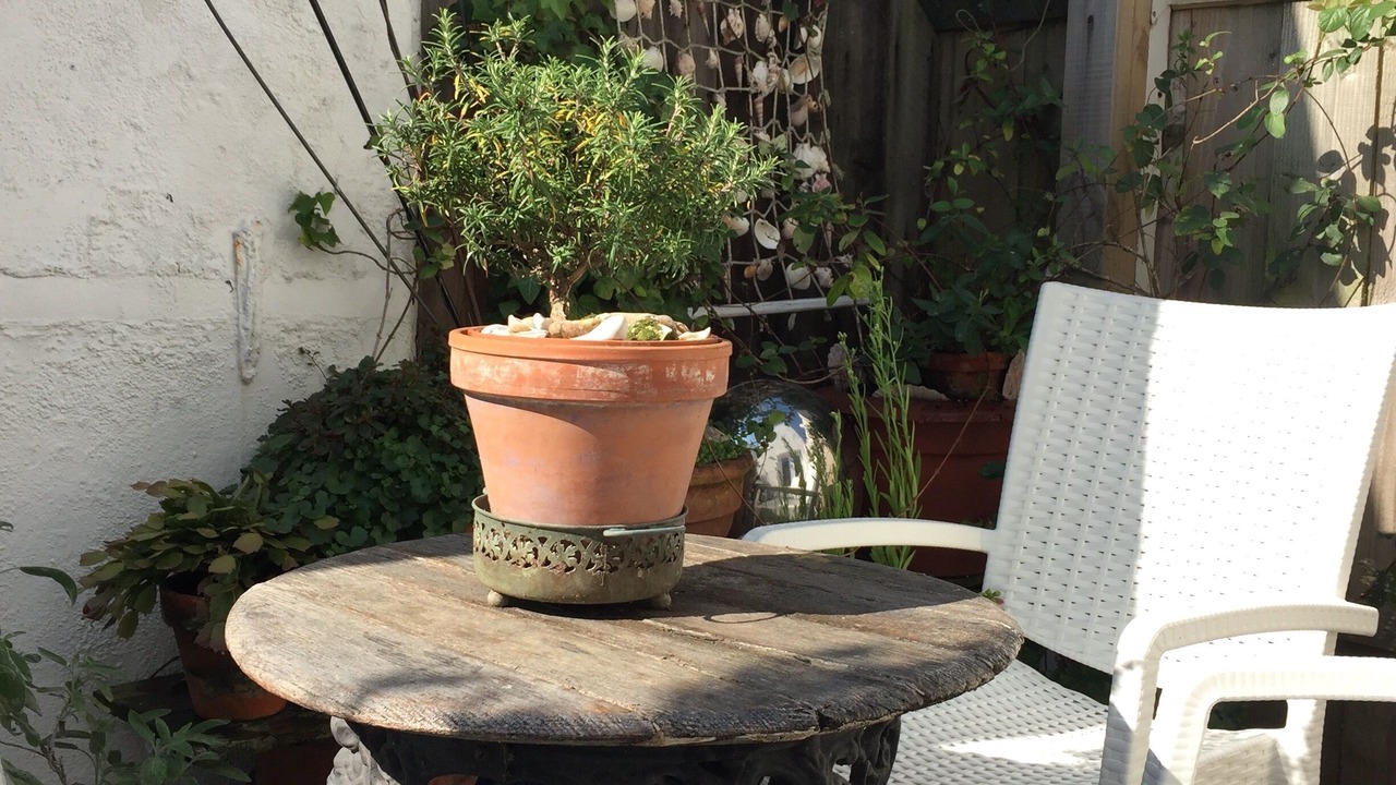 Photo of Outdoor in Kemptown