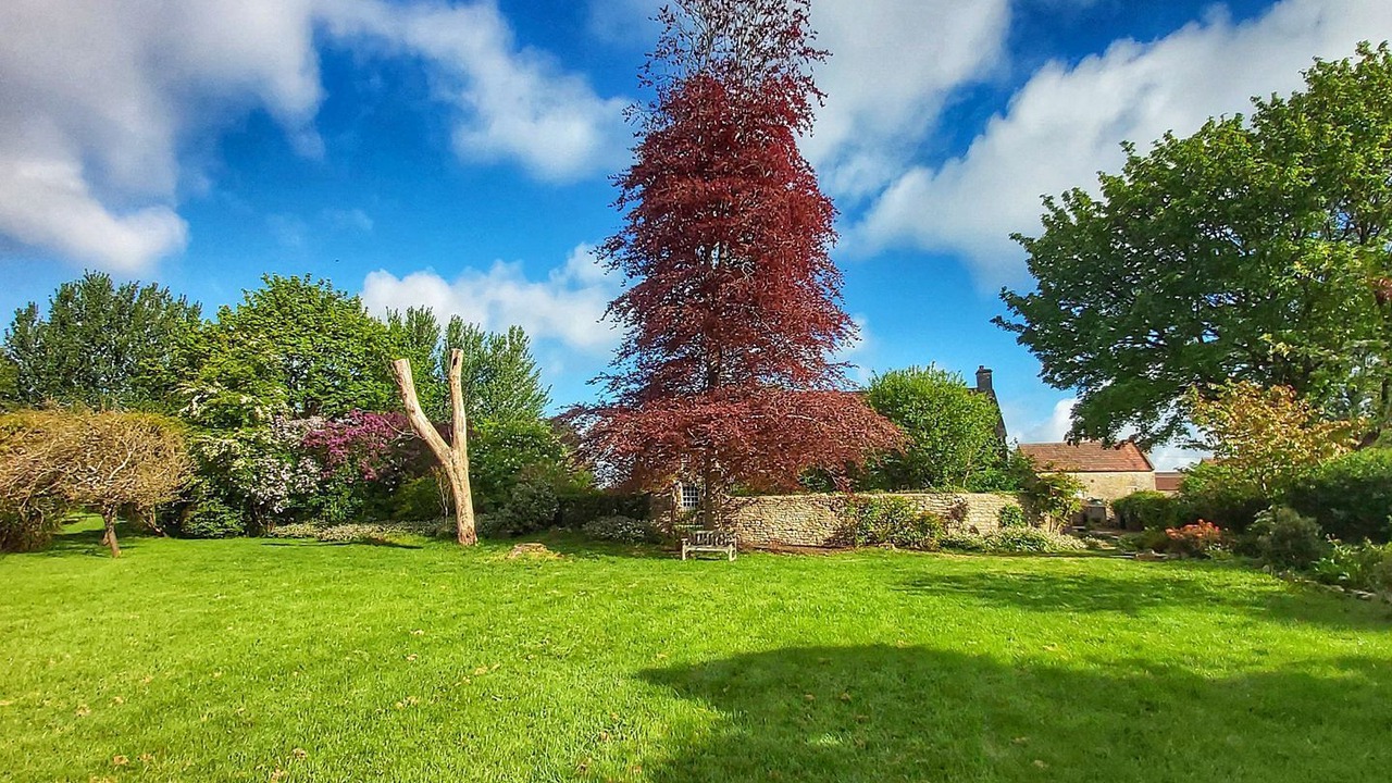 Photo of Outdoor in Shepton Mallet