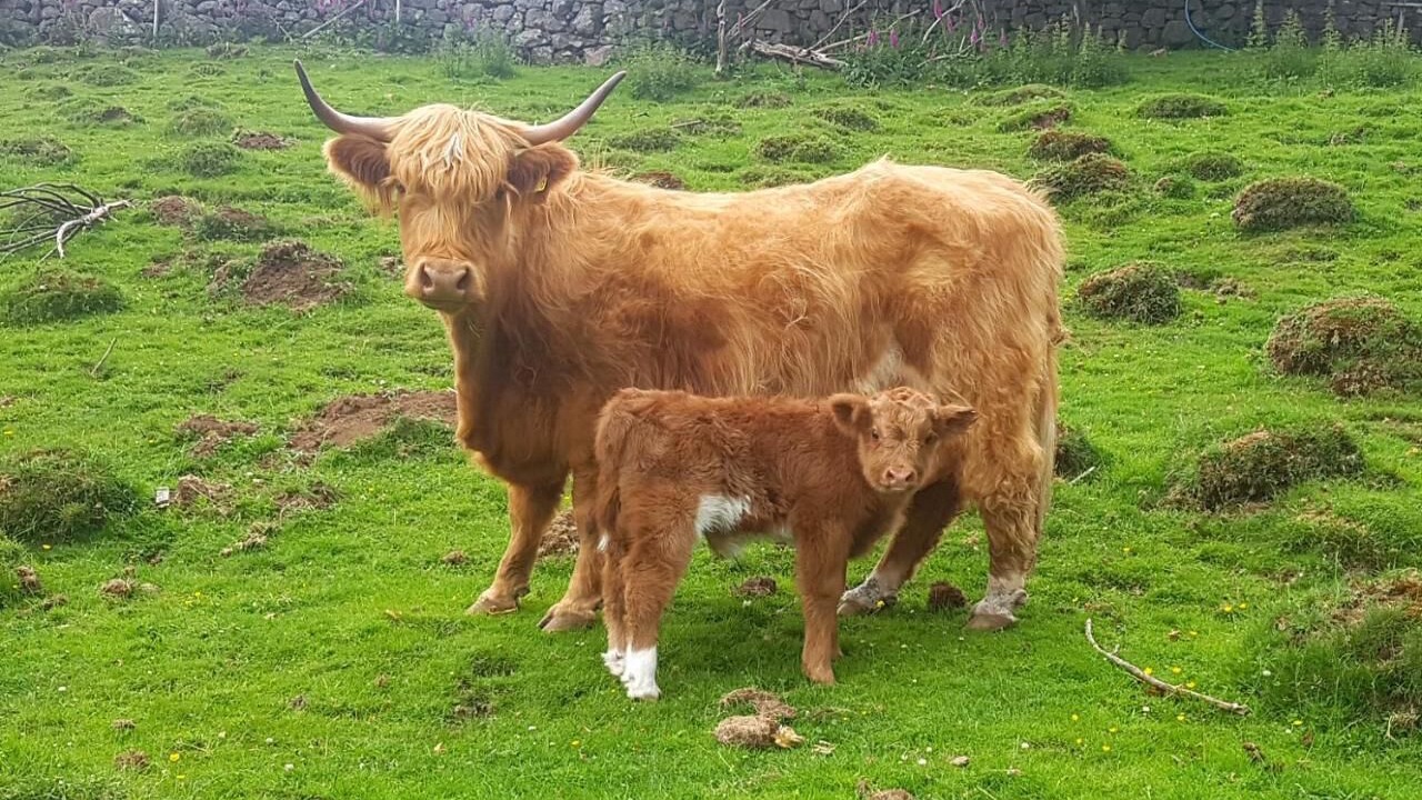 Photo of Others in Nether Wasdale